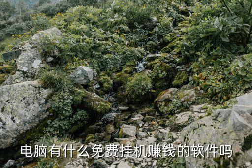 電腦有什么免費掛機賺錢的軟件嗎