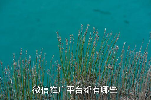 微信推廣平臺(tái)都有哪些