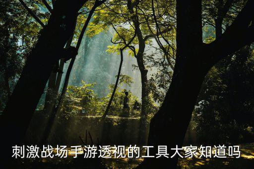 刺激戰(zhàn)場手游透視的工具大家知道嗎
