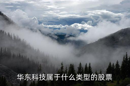 華東科技屬于什么類型的股票