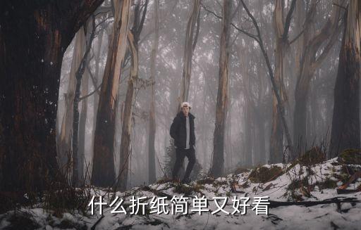 什么折紙簡(jiǎn)單又好看