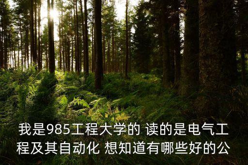 我是985工程大學(xué)的 讀的是電氣工程及其自動(dòng)化 想知道有哪些好的公