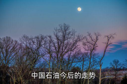 中國石油今后的走勢