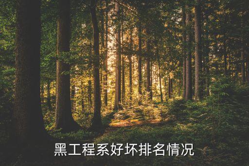 黑工程系好壞排名情況