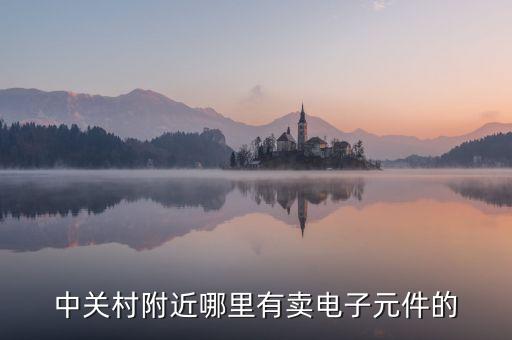 中關(guān)村附近哪里有賣電子元件的