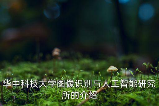 華中科技大學(xué)圖像識別與人工智能研究所的介紹
