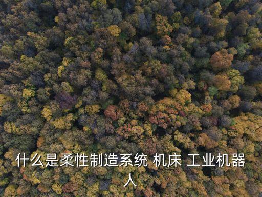 什么是柔性制造系統(tǒng) 機(jī)床 工業(yè)機(jī)器人