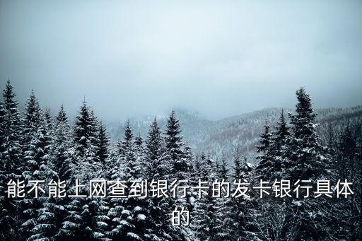 發(fā)卡銀行官網(wǎng)網(wǎng)站，能不能上網(wǎng)查到銀行卡的發(fā)卡銀行具體的