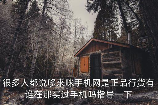 很多人都說哆來咪手機網(wǎng)是正品行貨有誰在那買過手機嗎指導一下