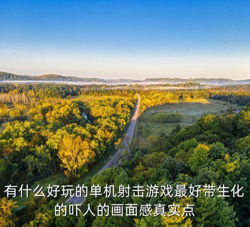 有什么好玩的單機(jī)射擊游戲最好帶生化的嚇人的畫(huà)面感真實(shí)點(diǎn)