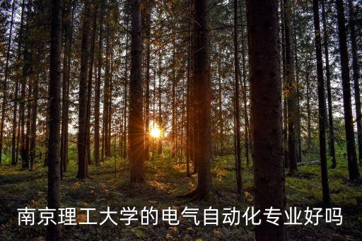 南京理工大學(xué)的電氣自動化專業(yè)好嗎