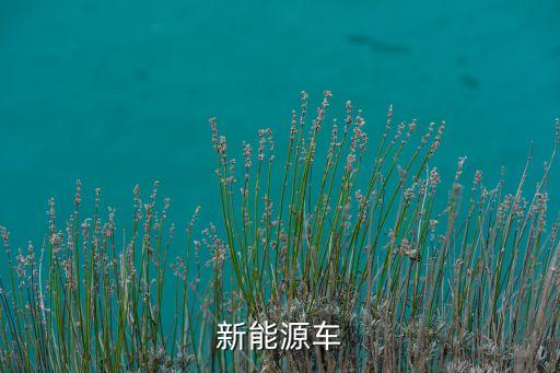 新能源車