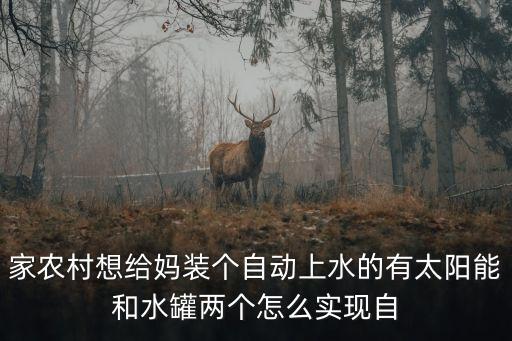 農(nóng)村自動上水裝置，自動上水裝置