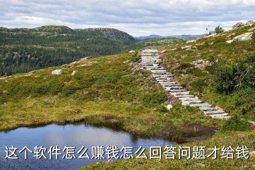 這個軟件怎么賺錢怎么回答問題才給錢