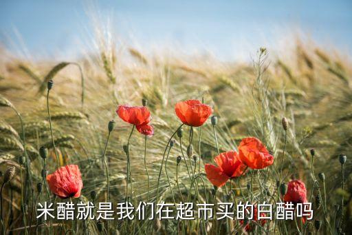 米醋就是我們?cè)诔匈I的白醋嗎