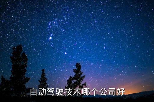 自動(dòng)駕駛技術(shù)哪個(gè)公司好