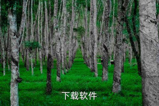 下載軟件