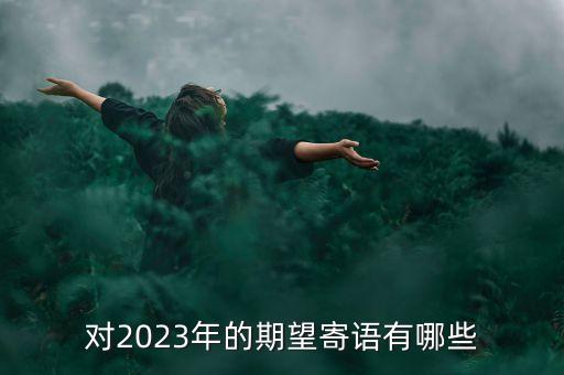 對2023年的期望寄語有哪些