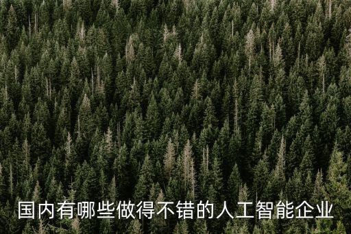 中國(guó)最好的人工智能公司是哪個(gè)，國(guó)內(nèi)有哪些做得不錯(cuò)的人工智能企業(yè)