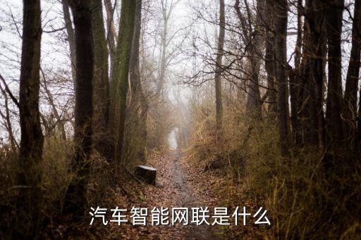汽車智能網(wǎng)聯(lián)是什么