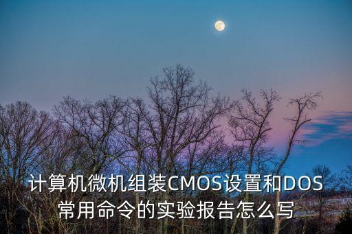 計算機微機組裝CMOS設(shè)置和DOS常用命令的實驗報告怎么寫