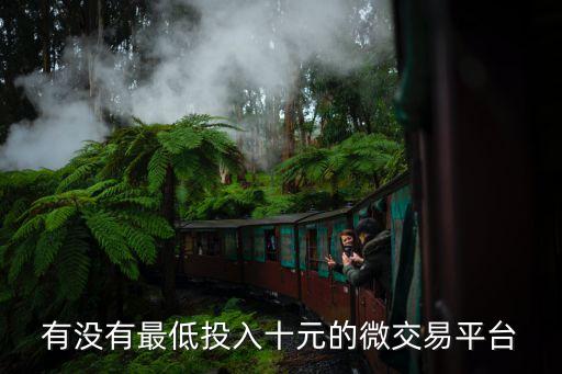 有沒有最低投入十元的微交易平臺(tái)