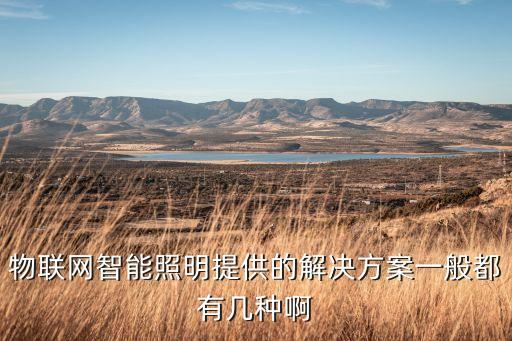 物聯(lián)網(wǎng)智能照明提供的解決方案一般都有幾種啊