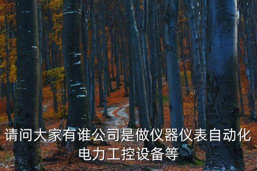 上海瑞業(yè)自動化有限公司，上海市閔行區(qū)護(hù)閔路3458弄228219號是哪個公司