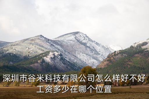 深圳市谷米科技有限公司怎么樣好不好工資多少在哪個位置