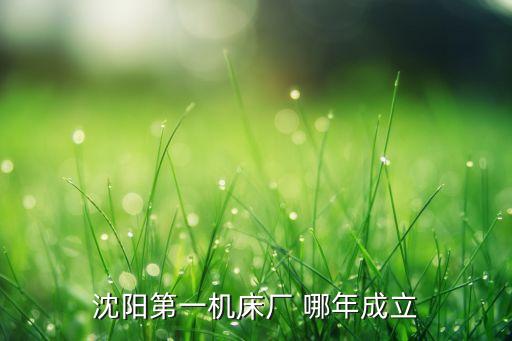 沈陽(yáng)第一機(jī)床廠，沈陽(yáng)第一機(jī)床廠 哪年成立