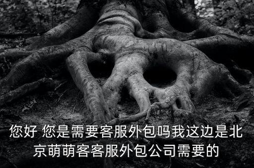 您好 您是需要客服外包嗎我這邊是北京萌萌客客服外包公司需要的