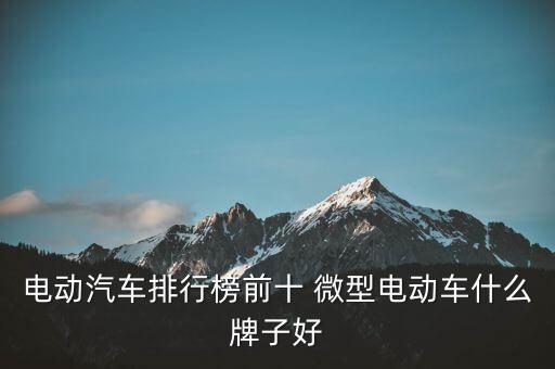 迷你電動(dòng)汽車排名前十名，電動(dòng)汽車排行榜前十 微型電動(dòng)車什么牌子好