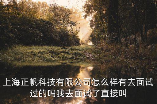 上海正帆科技有限公司怎么樣有去面試過的嗎我去面試了直接叫