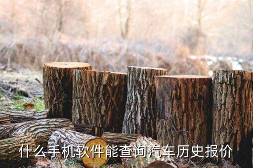 什么手機(jī)軟件能查詢汽車歷史報價