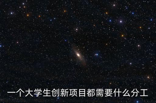 一個(gè)大學(xué)生創(chuàng)新項(xiàng)目都需要什么分工