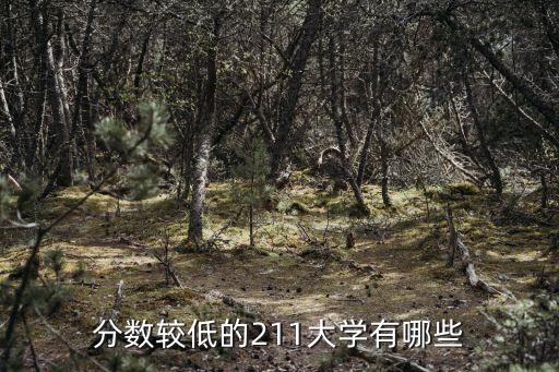 分?jǐn)?shù)較低的211大學(xué)有哪些