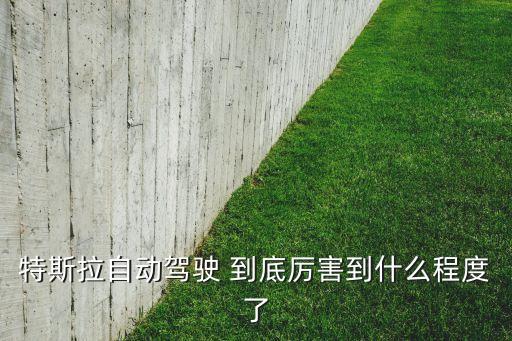 特斯拉自動駕駛故障率，特斯拉自動駕駛 到底厲害到什么程度了