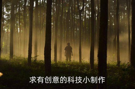 求有創(chuàng)意的科技小制作