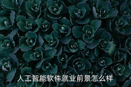 人工智能軟件就業(yè)前景怎么樣