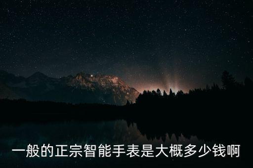 一般的正宗智能手表是大概多少錢啊
