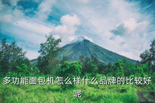 多功能面包機怎么樣什么品牌的比較好呢