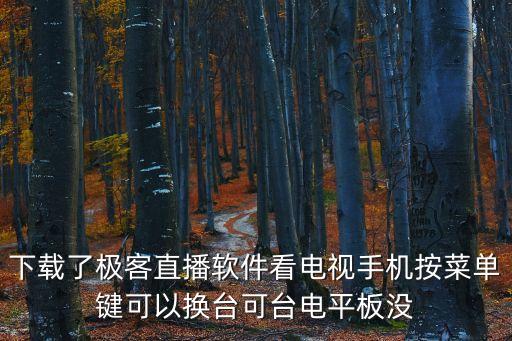 極客直播Tv，下載了極客直播軟件看電視手機按菜單鍵可以換臺可臺電平板沒