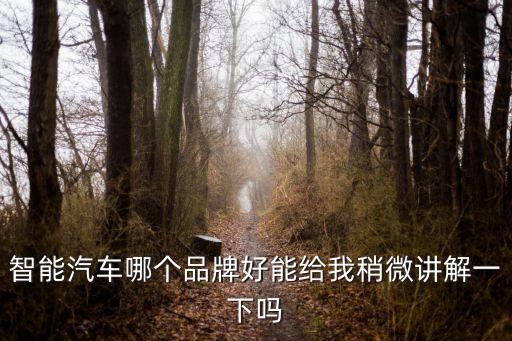 智能汽車哪個品牌好能給我稍微講解一下嗎