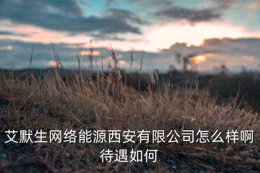 艾默生網(wǎng)絡(luò)能源西安有限公司怎么樣啊待遇如何