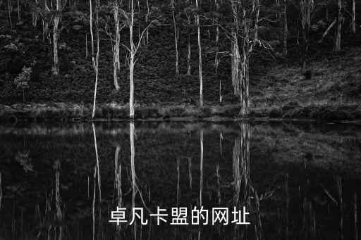 非凡卡盟登陸平臺(tái)，卡盟就是開鉆便宜 超Q一塊多