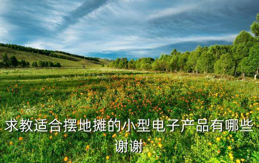 求教適合擺地?cái)偟男⌒碗娮赢a(chǎn)品有哪些謝謝