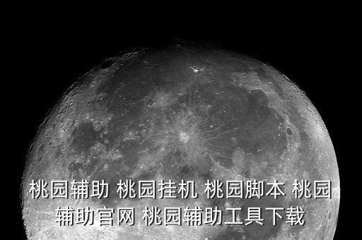 桃園輔助 桃園掛機 桃園腳本 桃園輔助官網(wǎng) 桃園輔助工具下載