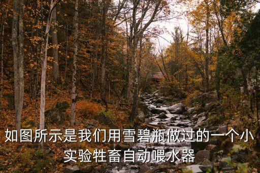 如圖所示是我們用雪碧瓶做過(guò)的一個(gè)小實(shí)驗(yàn)牲畜自動(dòng)喂水器