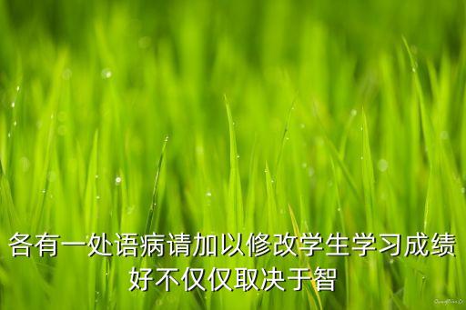各有一處語(yǔ)病請(qǐng)加以修改學(xué)生學(xué)習(xí)成績(jī)好不僅僅取決于智