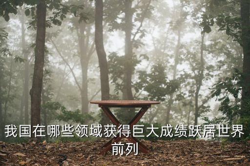 我國(guó)在哪些領(lǐng)域獲得巨大成績(jī)躍居世界前列